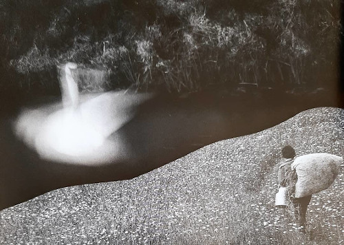 Land of Exile – Clashing Squirrel L 500