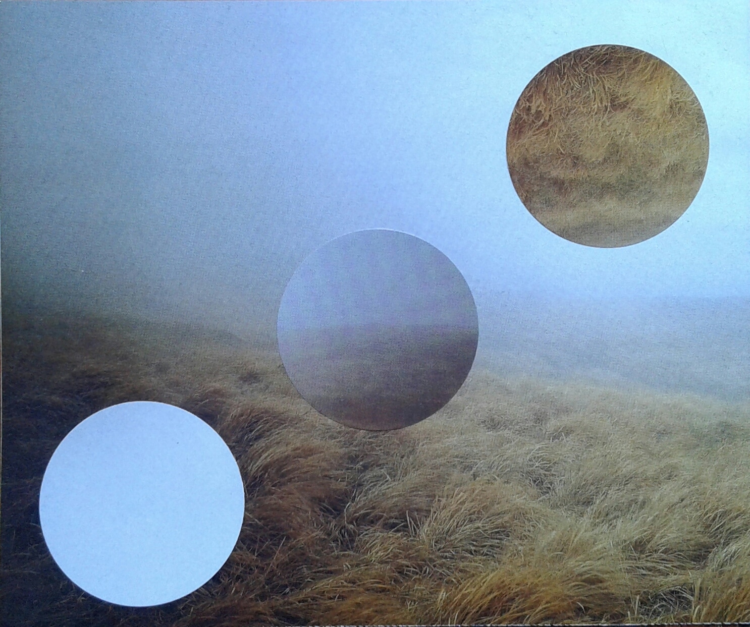 TRiNiTaS (Clashing Squirrel)